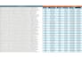clean, format, and perform excel tasks with formulas